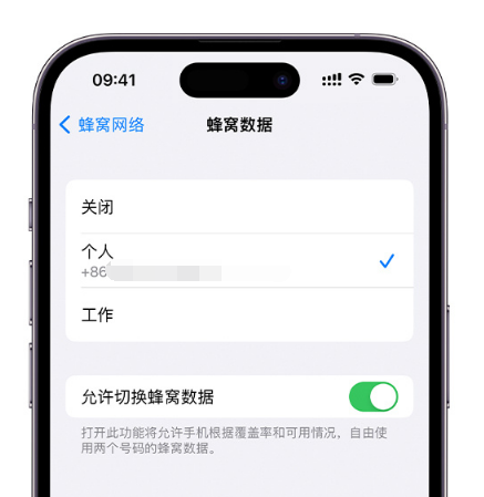 孝感苹果维修服务分享如何在iPhone上使用双卡 